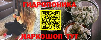 дмт Канаш