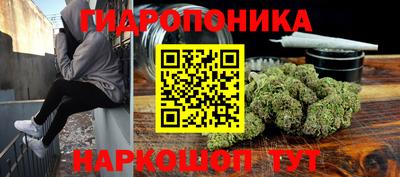 дмт Канаш