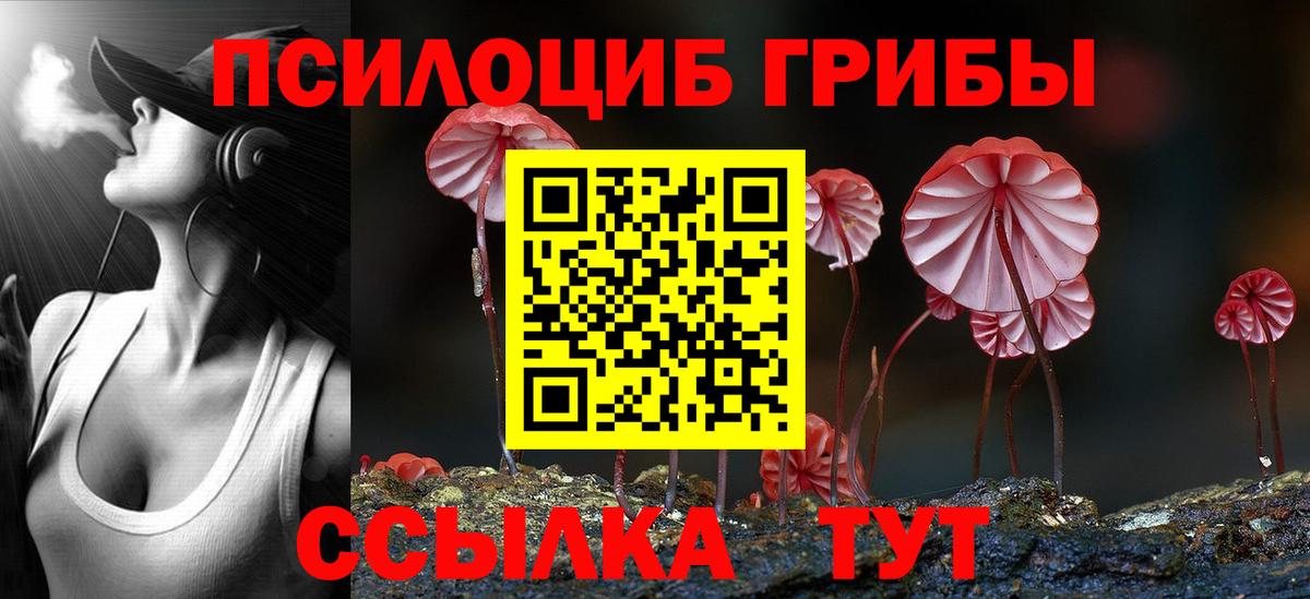 Галлюциногенные грибы GOLDEN TEACHER  Вход с VPN  Кыштым 