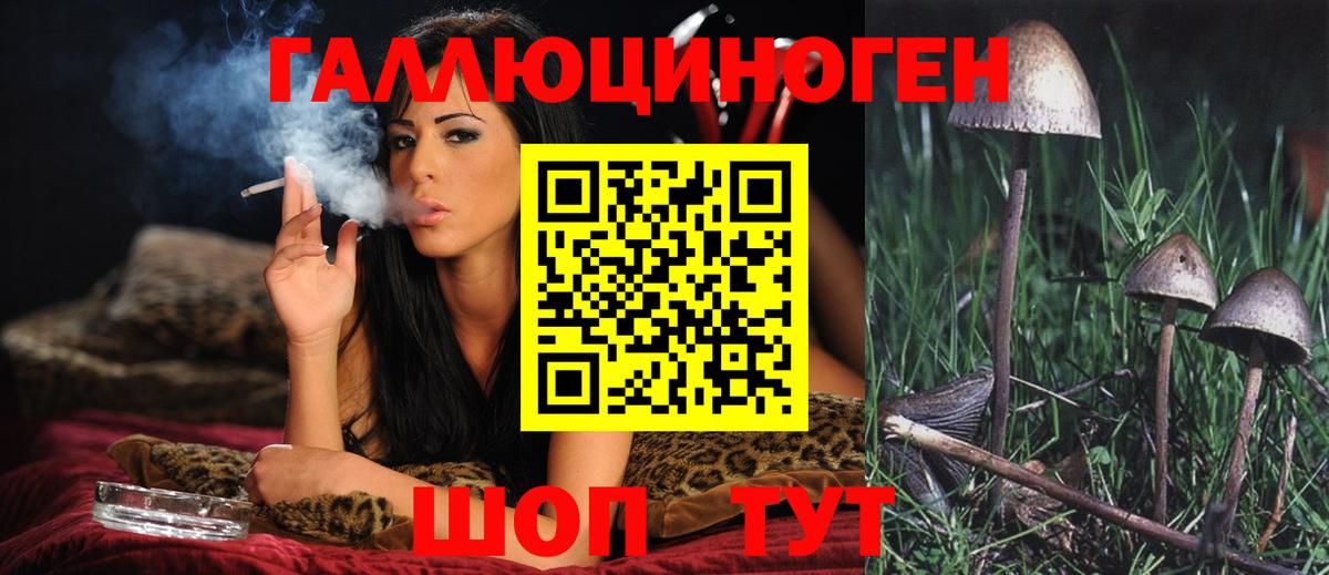 Галлюциногенные грибы Psilocybine cubensis Кыштым